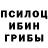 Галлюциногенные грибы Cubensis Lestat220289