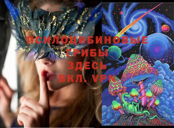 ГАЛЛЮЦИНОГЕННЫЕ ГРИБЫ Аркадак