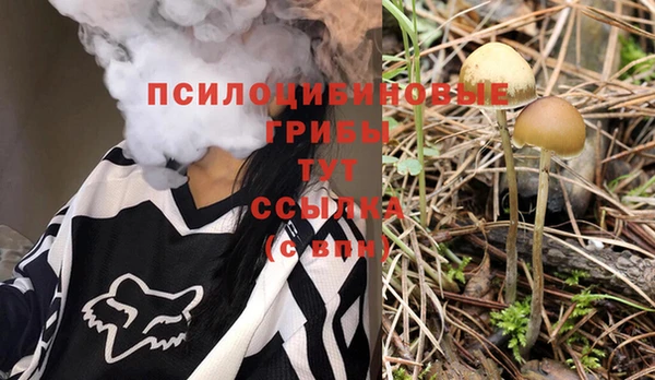 соль курить ск Алексеевка