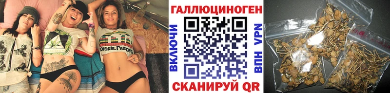 Галлюциногенные грибы Cubensis  купить наркотики цена  Абакан 